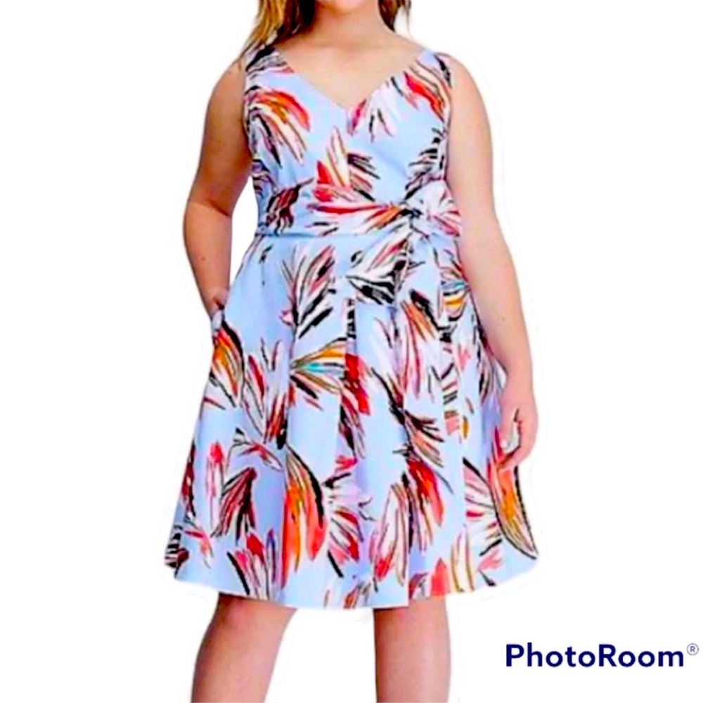 Size 18 Lane Bryant V-Neck Dress